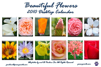 2010 Flower Portrait Front Cover.jpg